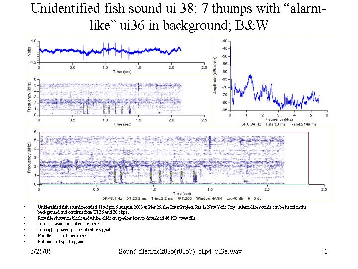 alarm-like and thumps